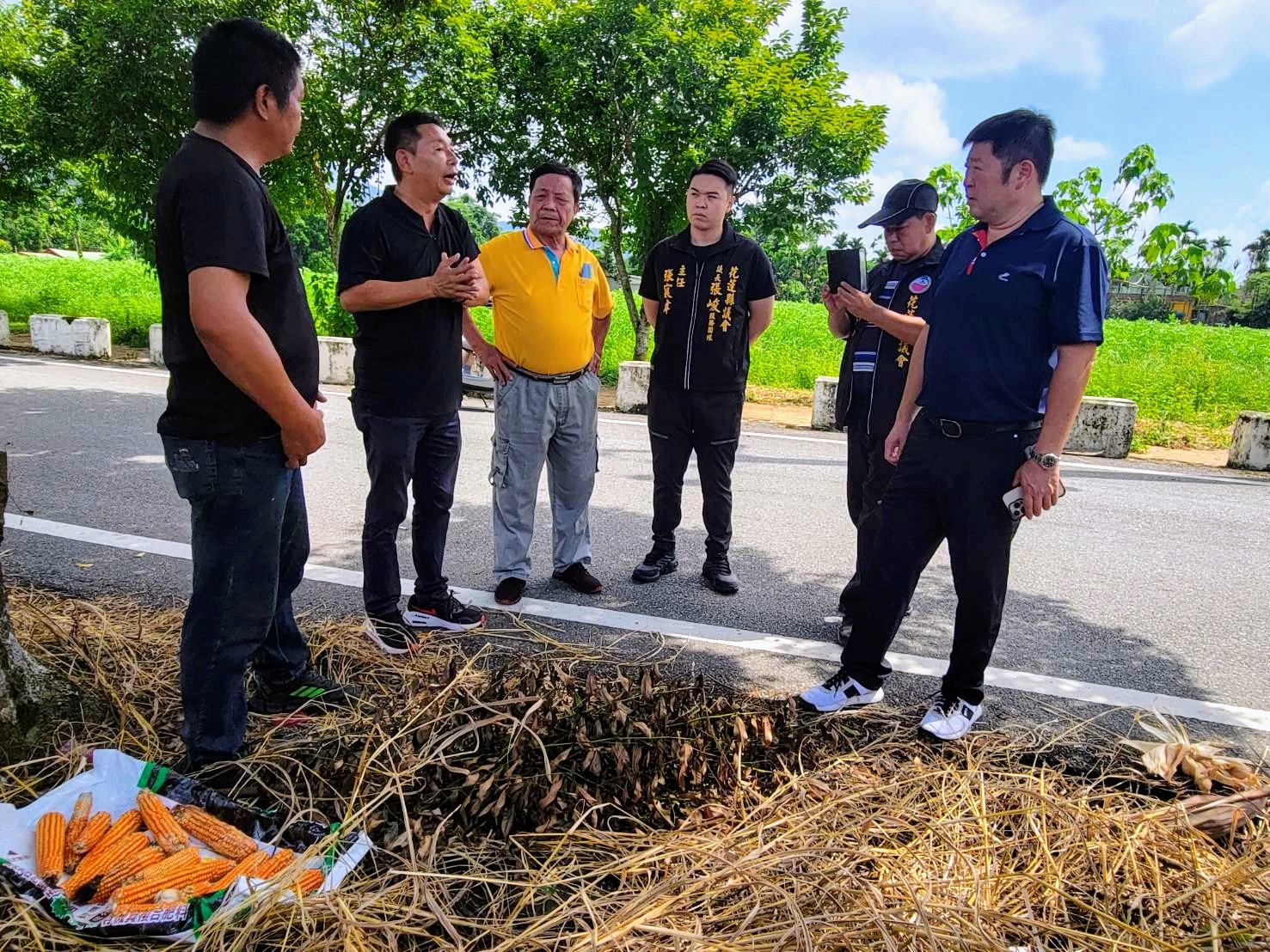 【中區硬質玉米豪雨潮濕發芽 張峻關心受災農民會勘協調後 農業天然災害救助啟動】缩略图