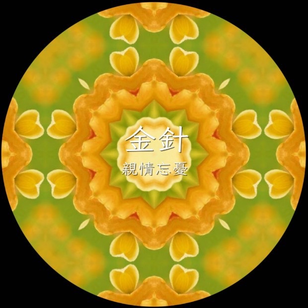 【花蓮限定！＜花TIME＞四季花卉來報時 花蓮太平洋公園百花齊放 千嬌百媚盡收眼底】缩略图