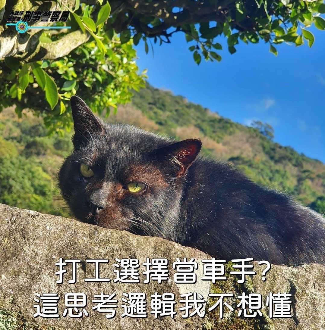 【花警暑期查獲詐團少年掮客 即時遏止詐騙黑手伸入校園】缩略图