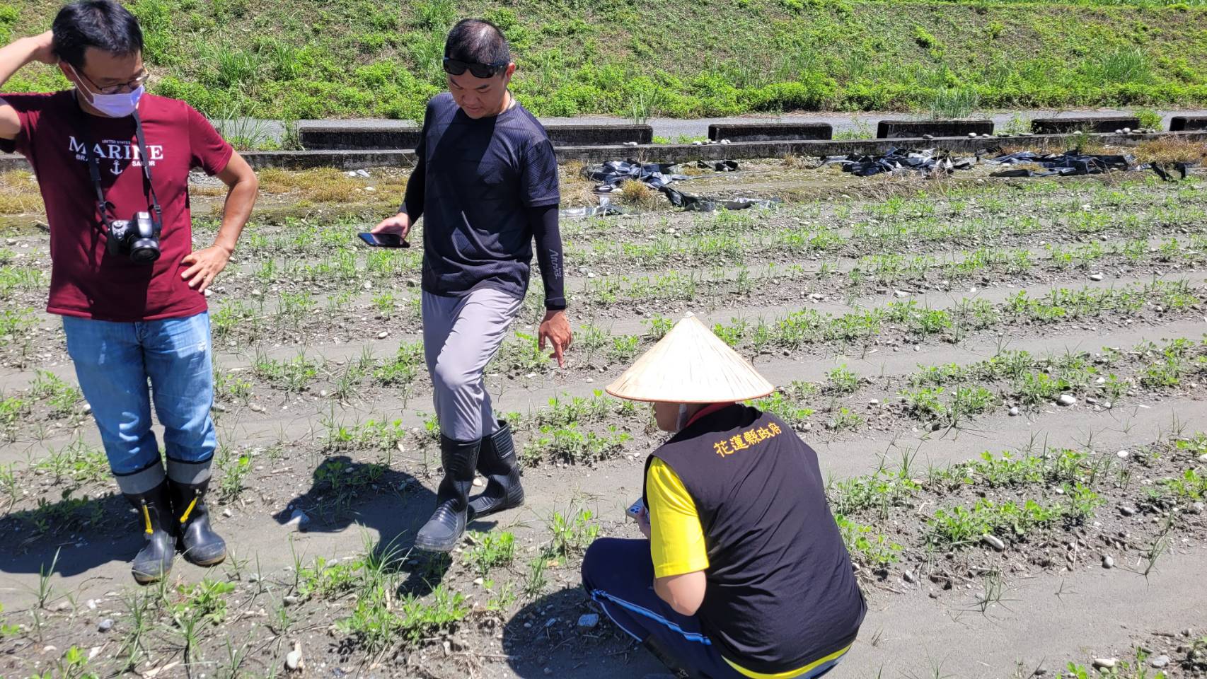 【花蓮縣政府爭取農業部公告 海葵颱風第三次公告現金救助 受理期限至10/2止】缩略图