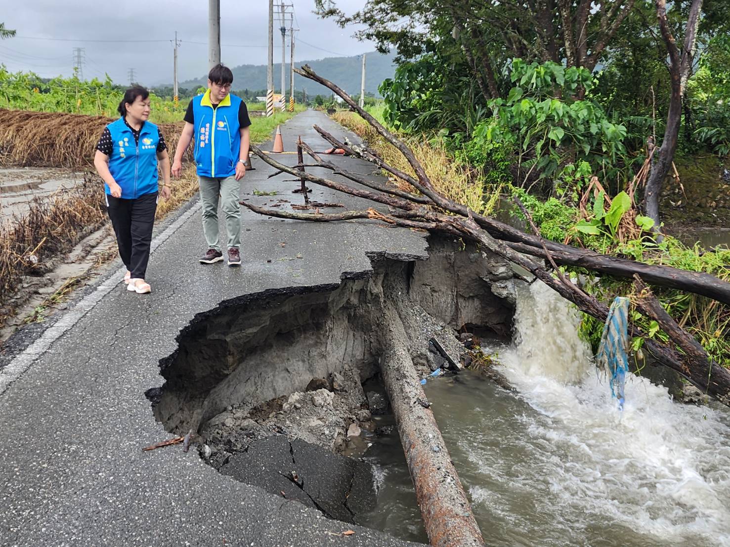 【海葵颱風強降雨 壽豐坍方、土石流、路基淘空 曾淑懿冒雨勘災】缩略图
