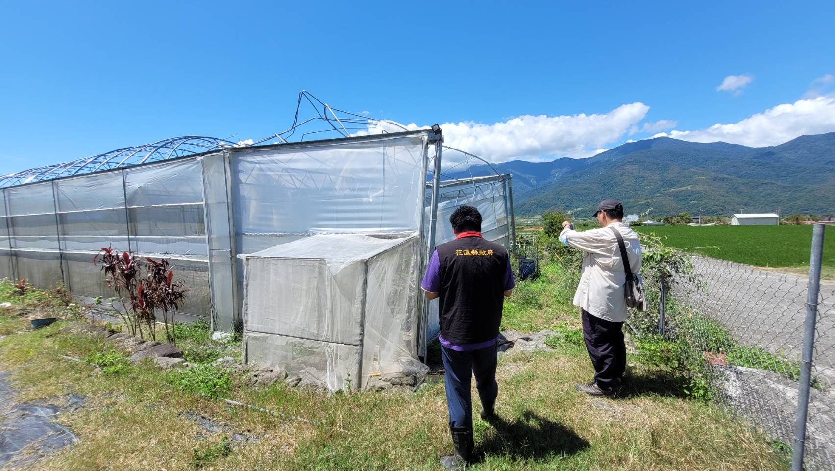 【花蓮縣政府爭取農業部公告玉里鎮及富里鄉為辦理落花生等作物海葵颱風現金救助 受理期10/3至10/12止】缩略图