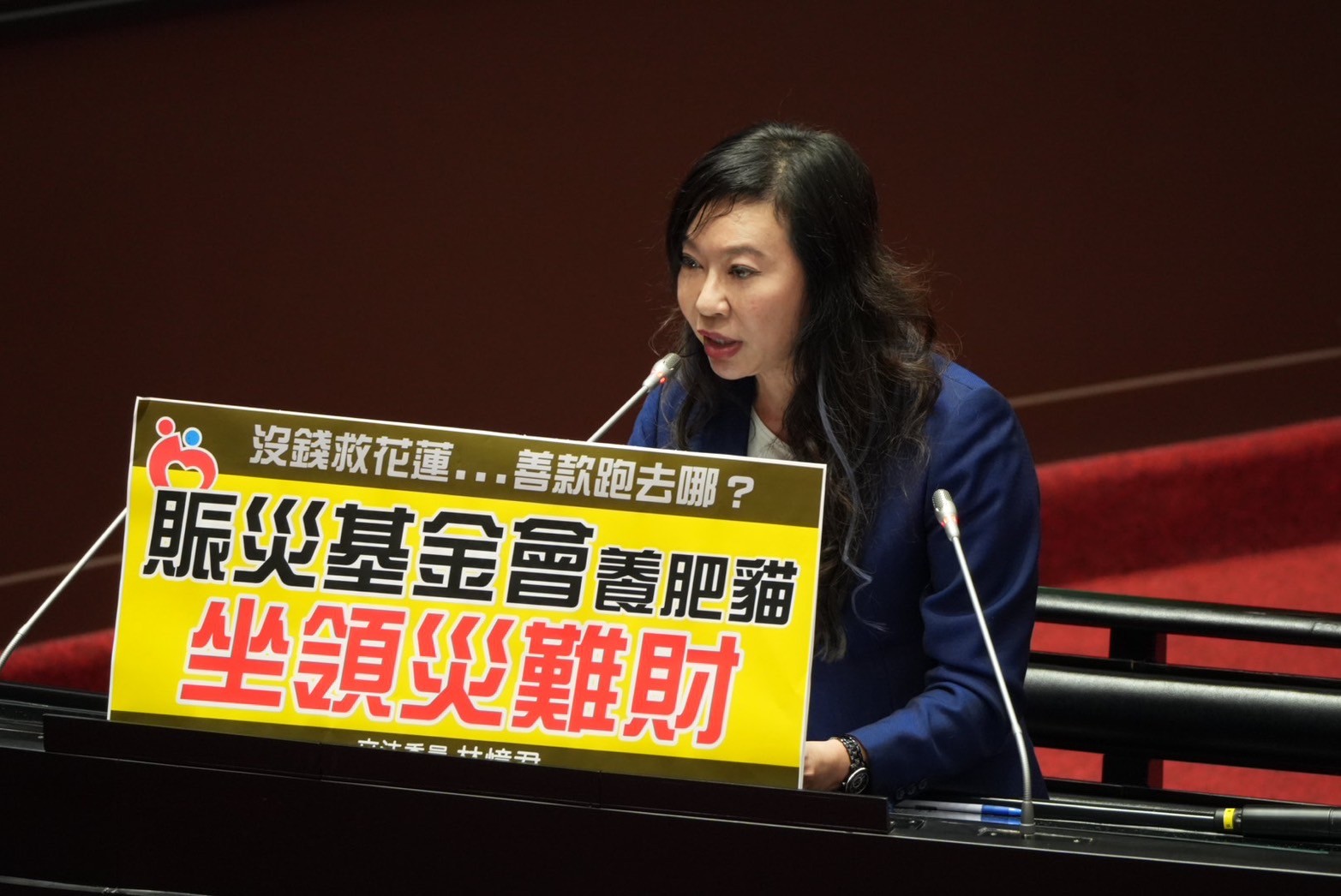 【立法院質詢善款管理 林憶君呼籲加強監督機制】缩略图