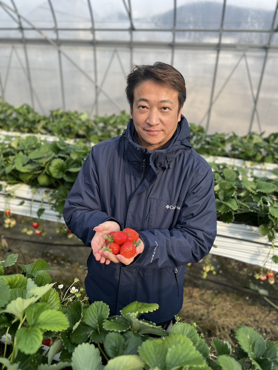 【魏嘉賢借鑒日本溫室領先技術 推動花蓮智慧農業與青年返鄉計畫】缩略图