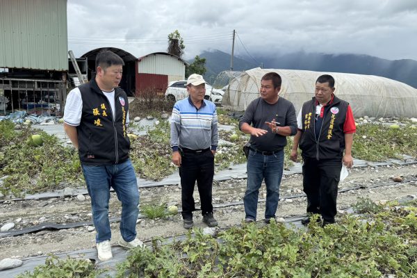 【極端氣候導致中區瓜農損失慘重 200公頃西瓜田盡皆裂果不忍卒睹 張峻議長走進西瓜田為瓜農請命】缩略图