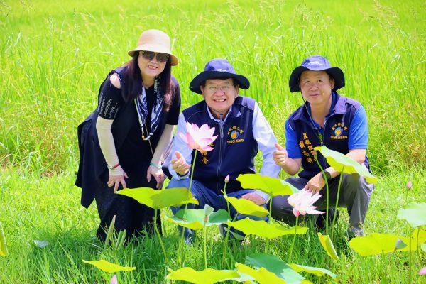 【「花」現新城之美龍泉公園荷花池盛開  鄉長何禮臺邀您漫步龍泉公園賞荷花】缩略图