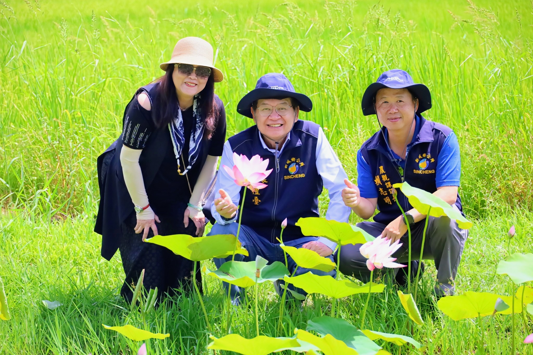 【「花」現新城之美龍泉公園荷花池盛開  鄉長何禮臺邀您漫步龍泉公園賞荷花】缩略图