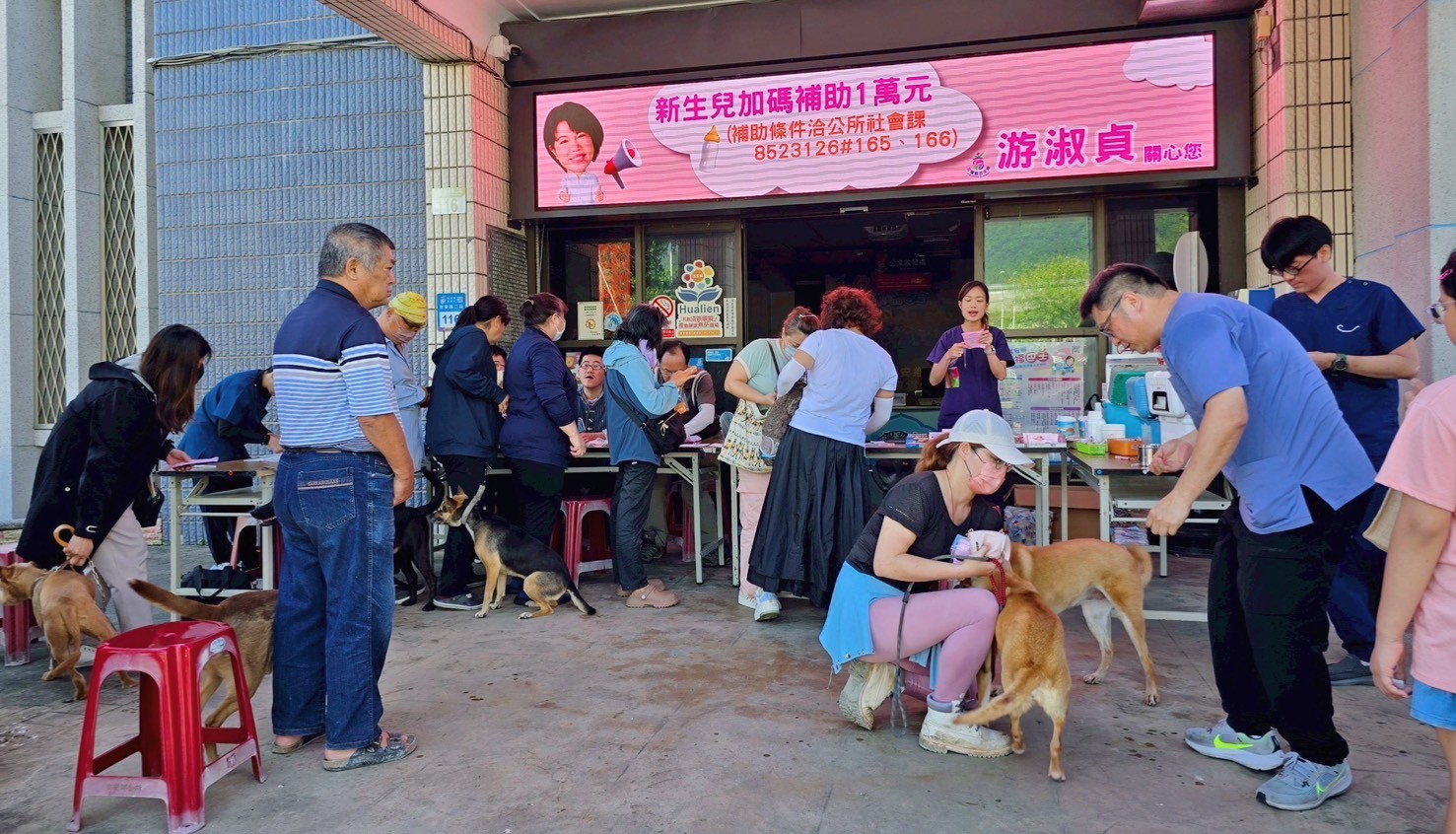 【吉安鄉狂犬疫苗施打數提升兩成 游淑貞感謝飼主共啟防疫行動力】缩略图