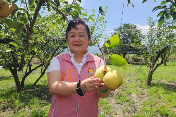 【壽豐鄉公所譴責暗黑網軍造謠 希望檢調主動偵辦揪出網路惡霸】缩略图