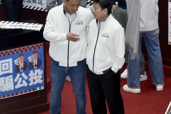 【童子賢引發花蓮人質疑：環保與建設之間的抉擇】缩略图