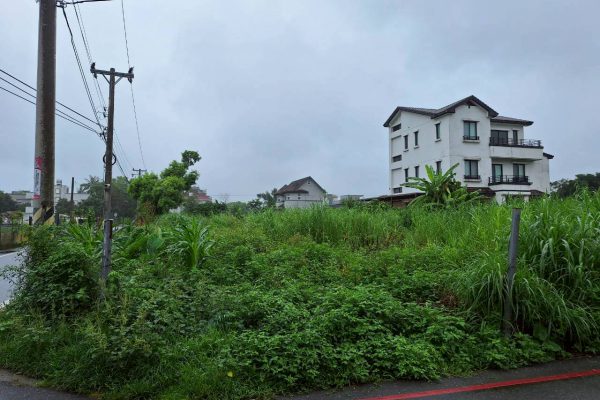 【夏季閒置土地雜草叢生 游淑貞籲土地所有人定期修剪】缩略图
