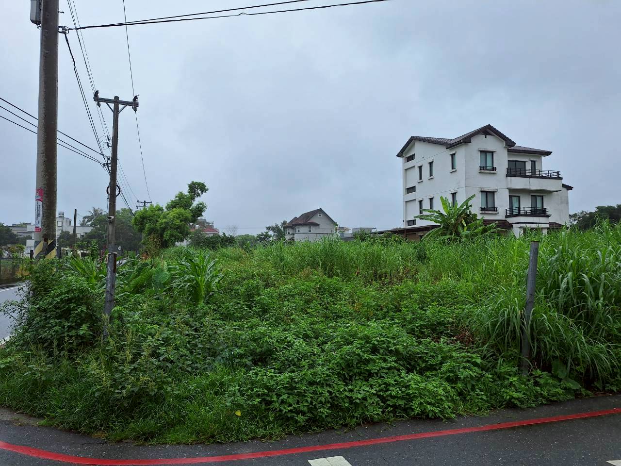 【夏季閒置土地雜草叢生 游淑貞籲土地所有人定期修剪】缩略图