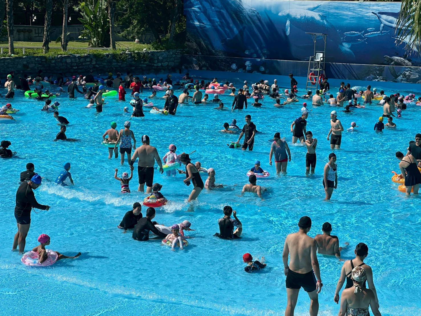 【2025知卡宣綠森林親水公園戲水活動 今夏圓滿落幕 吸引萬名遊客共襄盛舉】缩略图