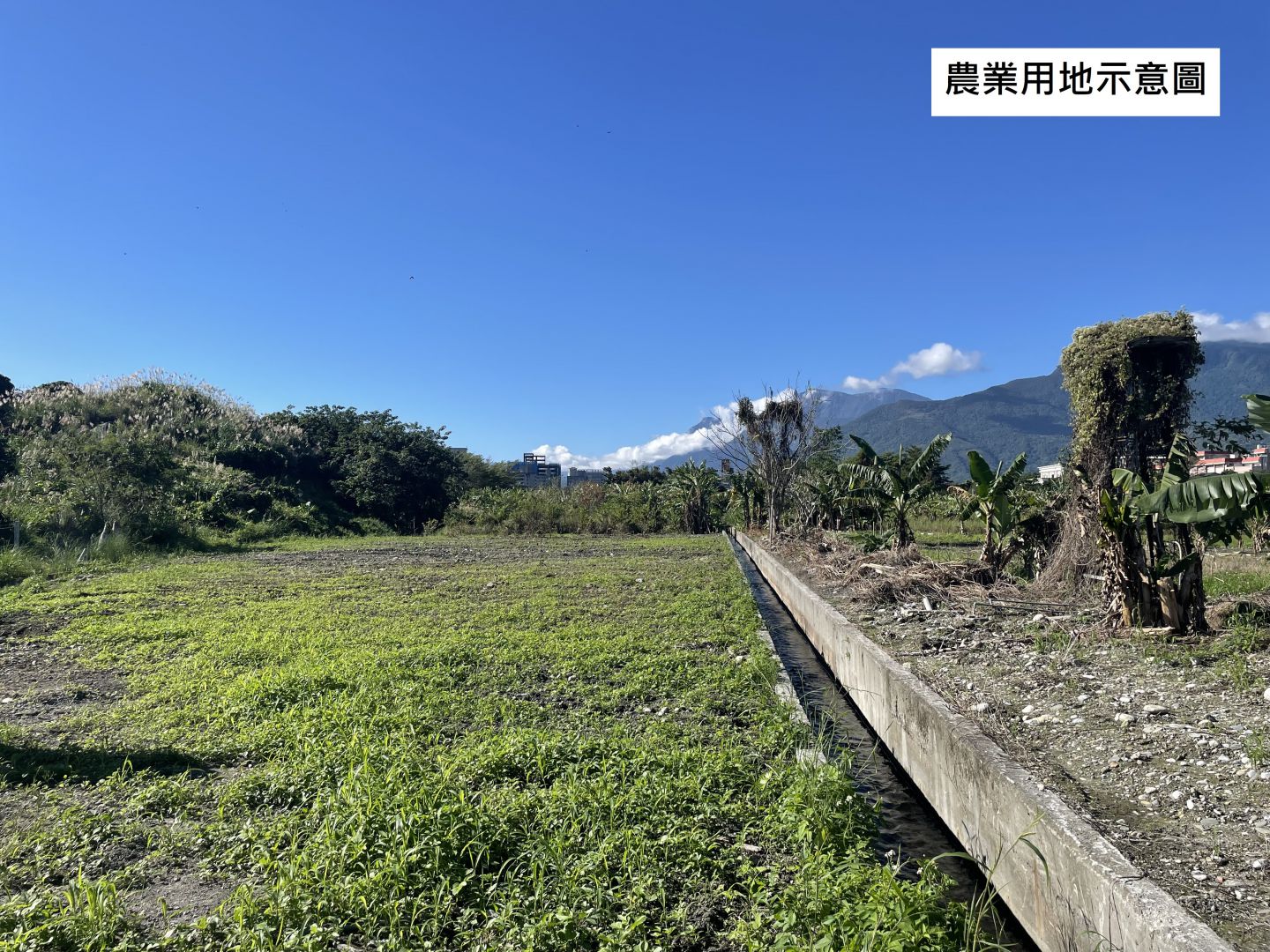 【遭法院強制執行拍賣之土地 可於期限內申請減免土地增值稅】缩略图