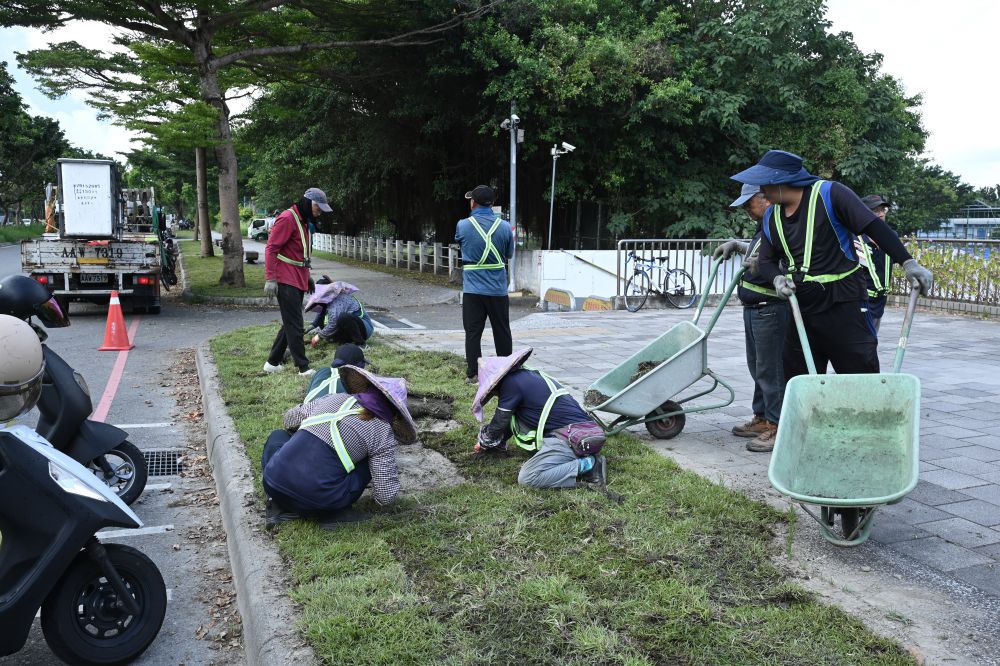 【花蓮市民權路人行道鋪設草坪 提升綠意與步行品質】插图2