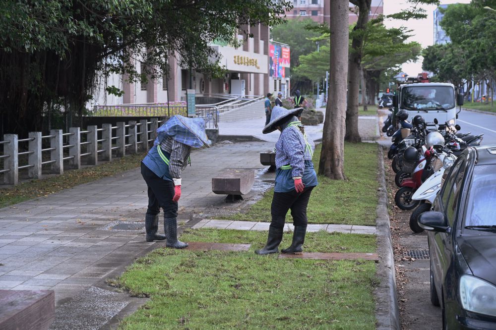 【花蓮市民權路人行道鋪設草坪 提升綠意與步行品質】插图1
