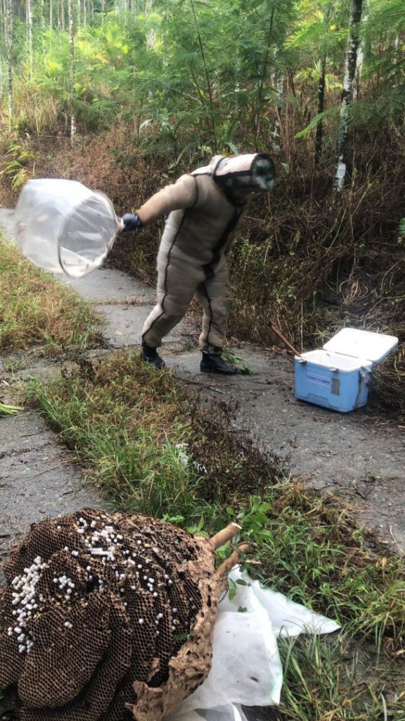 【厚重防蜂衣下的堅持 姜學文七年摘蜂路守護民眾】插图3