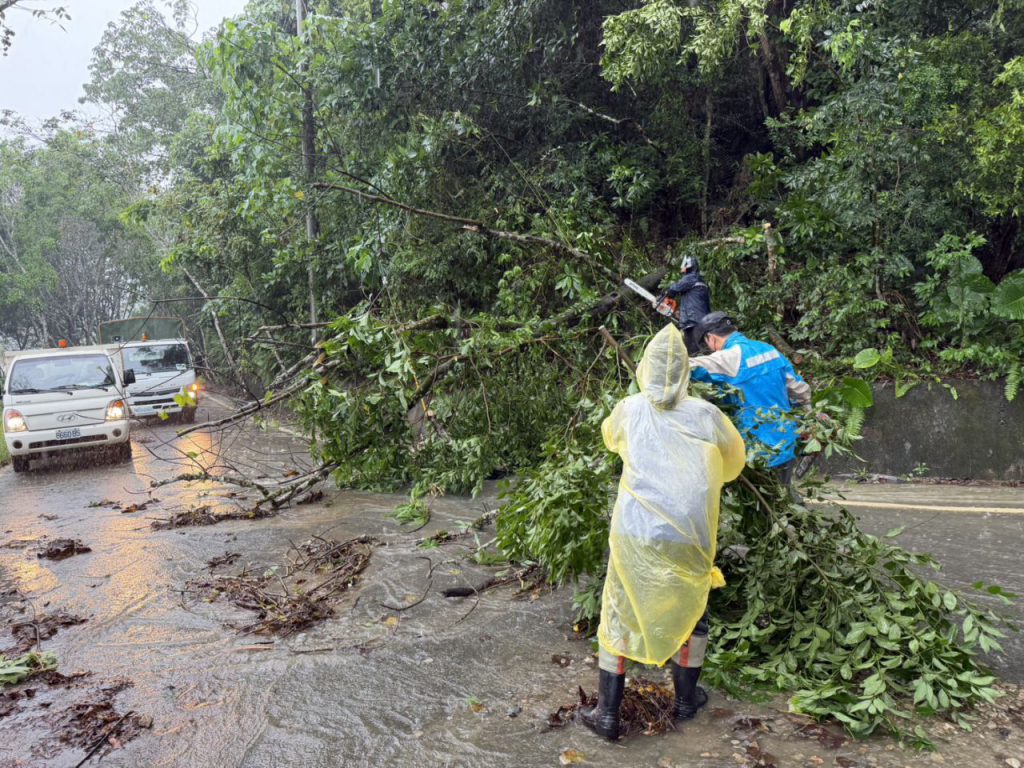 【曾淑懿: 壽豐團結應對強降雨 攜手減災韌性家園】插图