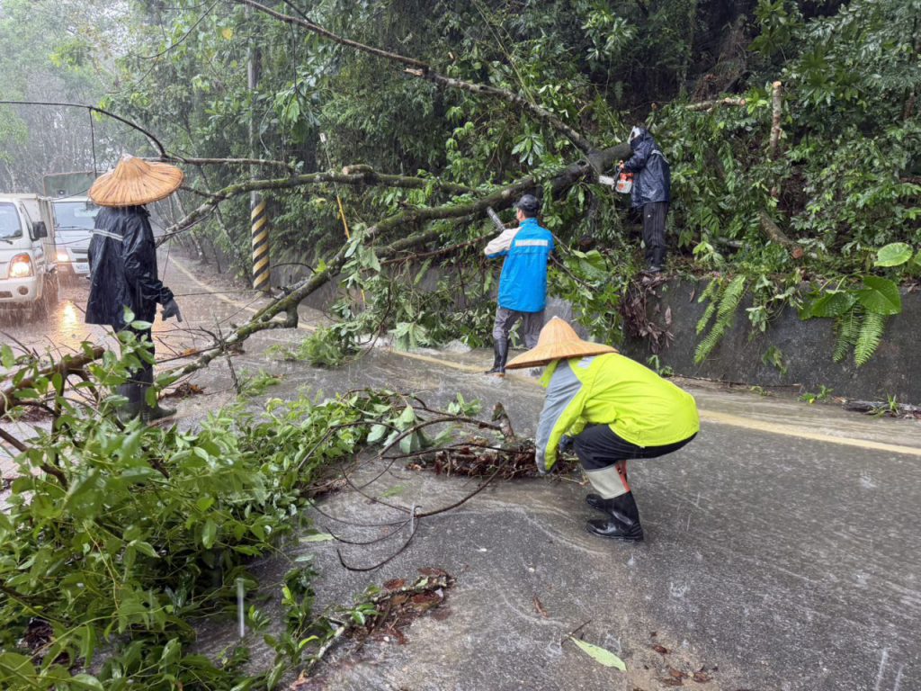 【曾淑懿: 壽豐團結應對強降雨 攜手減災韌性家園】插图1