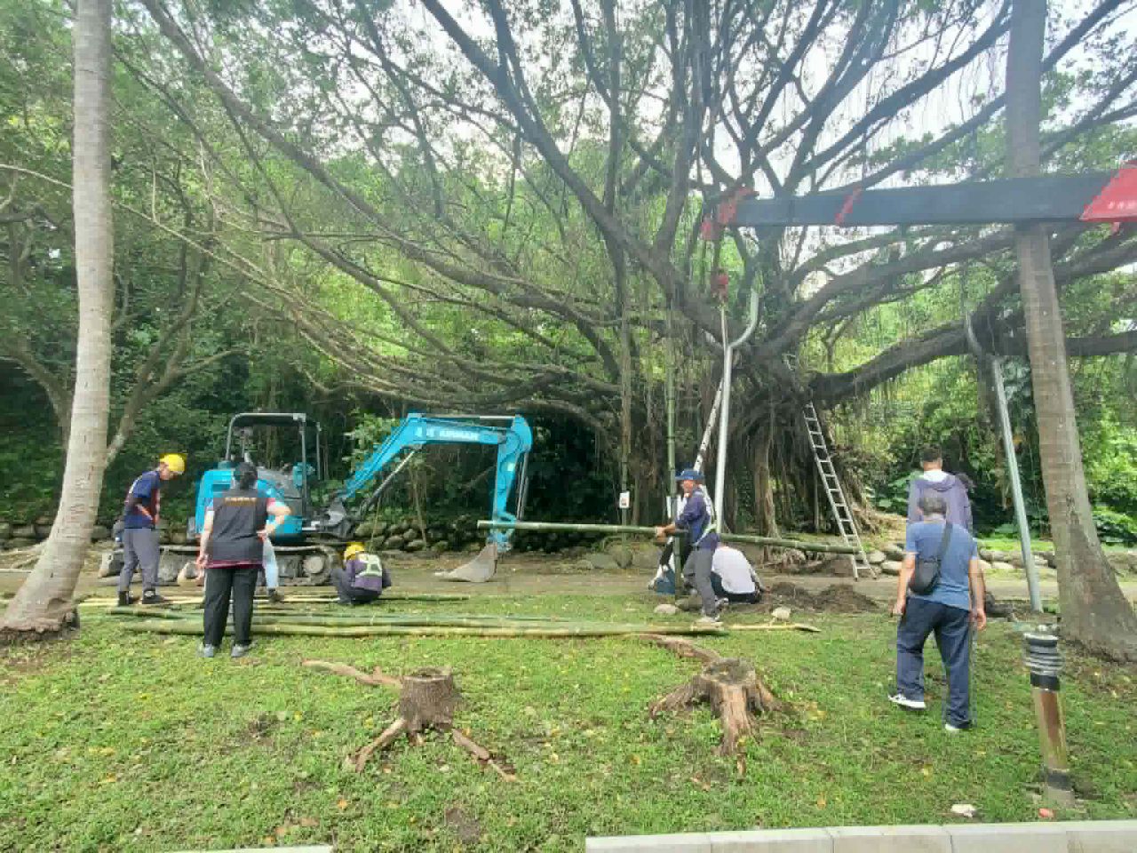 【護樹兼顧安全》兩潭自行車道老榕樹完成支撐加固 守護地方記憶與安心騎乘】缩略图