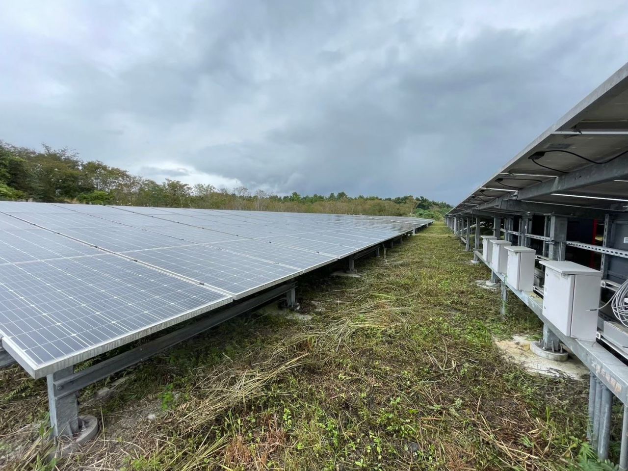 【花蓮縣政府再次說明：第一型大型地面型光電案 僅一件於蔡碧仲任內核准 】缩略图