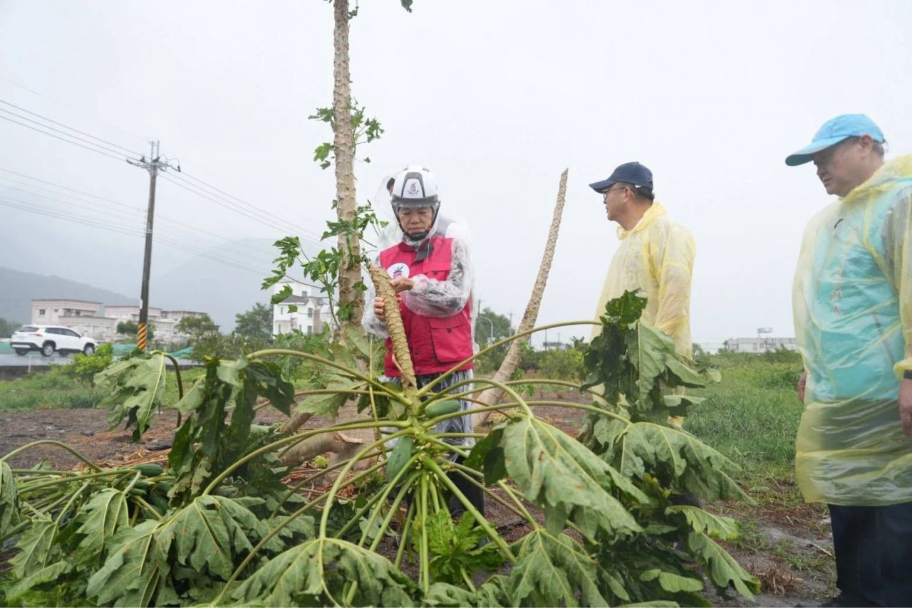 【從地方防災協力到六級農業升級 游淑貞擘畫花蓮健康農業新願景】插图