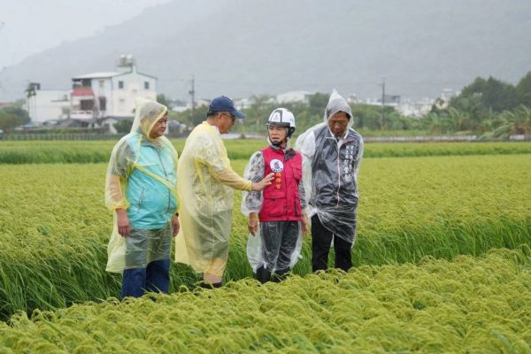 【從地方防災協力到六級農業升級 游淑貞擘畫花蓮健康農業新願景】缩略图