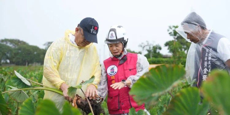 【從地方防災協力到六級農業升級 游淑貞擘畫花蓮健康農業新願景】插图2
