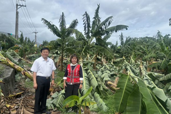 【薔琵颱風重創花蓮農業 傅崐萁籲政府速提紓困措施】缩略图
